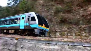 坪尻駅　特急南風通過