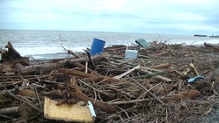 海岸に大量の流木　大雨の影響でゴミ押し寄せる　高知県安芸市