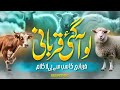 Lo Aagai Qurbani-Rao Brothers Heart Touching Kalam 2025 Bakra Eid Special Offical 4K Video
