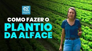 COMO FAZER O PLANTIO DA ALFACE