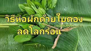 เกษตรพอเพียง วิธีห่อผักด้วยใบตองกล้วยลดโลกร้อน เกษตรผสมผสาน ปลูกผักกินเอง