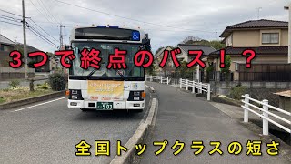 たった３つの停留所で終点のバス路線が面白かった