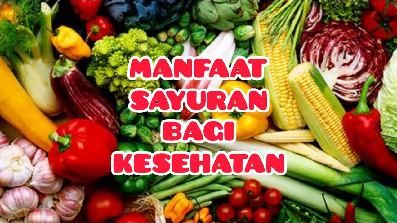 MANFAAT SAYURAN BAGI KESEHATAN || HEALTH BENEFITS OF VEGETABLES - YouTube