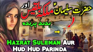 Hazrat Suleman aur malika Bilqees ka waqia | Prophet Sulaiman and queen Sheba in Urdu | Amber Voice