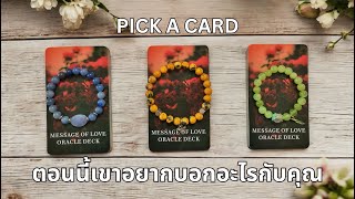 Pick a card ❤️ ตอนนี้เขาอยากบอกอะไรกับคุณ NO.30 เปิดไพ่ข้อความแบบละเอียด (Timeless)