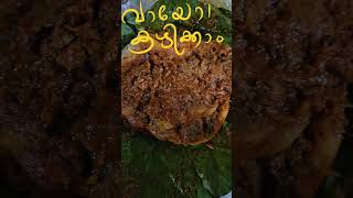 നല്ല ചൂട് പൊറോട്ട ഉം ബീഫ് ഉം.വായോ!!കുറച്ചു food അടിക്കാം!!!🥰😋#shortsfeed #shorts