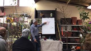 How To Prune Fruit Trees | LIVESTREAM