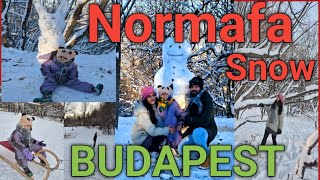 Snow Day Normafa ||Budapest ||Winter || Hungary #hiking #normafa #forest #travel #vlog #europe #snow