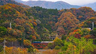 【甲州カシオペア】紅葉が美しい秋の中央本線をカシオペアが駆け抜ける！