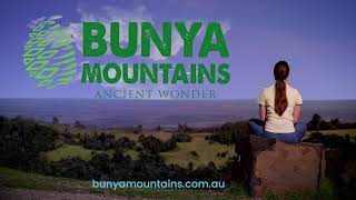 Discover the Ancient Wonder - Bunya Mountains