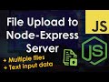 Upload a File or Multiple Files to a Node.js Express Server | JavaScript Tutorial