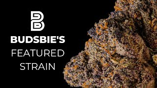 Budsbie's Featured Strain: Jealousy from The Minntz