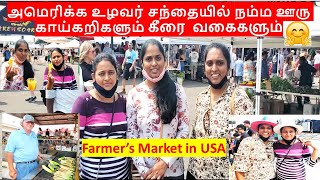 அமெரிக்க உழவர் சந்தை | Farmer's Market in USA | Street Food | Minneapolis Farmer's Market