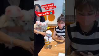 කොහොමද එ කෙල්ලට ශොප් එකෙන් දීපු #vairalreels 🎁  එක #korea #doglover #vairalvideo #vairalshort #2024