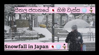 Snow Fall in Japan 2022 | Winter| Japan  | සීතල ජපානයේ වැටෙන හිම වැස්ස 2022|