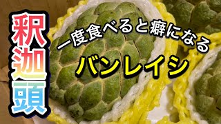 台湾で人気の果物‼️釈迦頭（バンレイシ）Sugar apple 釋迦💕一度食べると癖になるフルーツ❤️