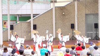 [4K] よさこいチーム八鹿 2回目　いずみよさこい祭り 2023