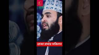 জান্নাতের রাইয়ান দরজা দিয়ে শুধু রোজাদাররা প্রবেশ করতে পারবে😍 #islamic_media #mijanur_rahman_ ajhari