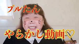 プルル。プルたん やらかした？