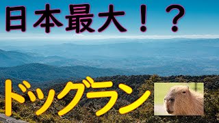 【日本初？犬Tuber】日本最大！？那須どうぶつ王国の天空のドッグランでくたくたになるまでRUNしてみた　ドッグランレビュー第4弾！