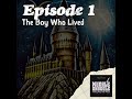 1-1 The Boy Who Lived: The First Steps on a Legendary Journey