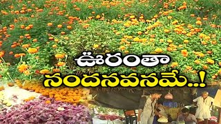 గ్రామమంతా అందమైన పూలతోటల మయం | Kakaraparru Village Spreading with Flower Gardens @ West Godavari