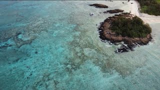 離島の岩場で朝まで釣りしてみたら・・・【沖縄釣り】