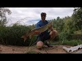 river muskie triple shred the water