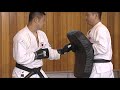 nippon kempo renmei 日本拳法 Ниппон кэмпо