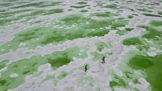 航拍青海 Aerial QingHai(By DJI Mavic Air 2) 青海湖/翡翠湖/水上雅丹/恶魔之眼/火星一号公路/可可西里/昆仑山大峡谷/尕朵觉悟/阿尼玛卿/星星海/藏娘佛塔