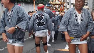 代々木八幡宮　令和元年　例大祭　町内神輿渡御　富ヶ谷親和会　2019/9/23 Yoyogi Mikoshi Festival 58