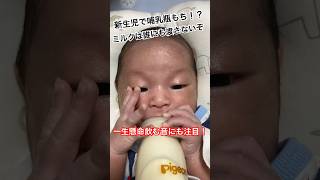 新生児で哺乳瓶キープ！？一生懸命ミルクを飲む羽海くん！#羽海くん #新生児 #男の子 #baby #赤ちゃんのいる生活 #哺乳瓶 #ミルク #授乳 #可愛い #癒し #babyshorts #0ヶ月