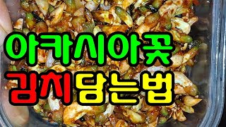 아카시아꽃김치 담는법 염증,기관지염,항암효과👍😍