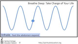 Train Your Brain to breathe deep for 10 min at 4 br per min