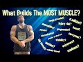 What Makes a Good Muscle Building Lift? (TOP 10 FACTORS)