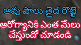 ఆవు పాలు తైద రొట్టె పల్లెటూరి ఆరోగ్యం మీక్కూడా కావాలా....