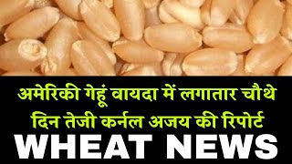 अमेरिकी गेहूं वायदा में लगातार चौथे दिन तेजी कर्नल अजय की रिपोर्ट wheat News