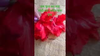 इस फुल का जड़ रातों-रात अमीर बना देगा#astrology #garden #motivation