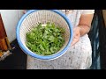 pudina leaves cutting tip cut mint leaves in seconds పుదీనా ఆకులను ఇట్లా కోయoడి