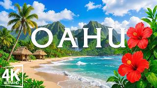 Oahu, Hawaii 4K - Exploring Hawaii's Stunning Beaches and Volcanic Wonders - 4K VIDEO UHD