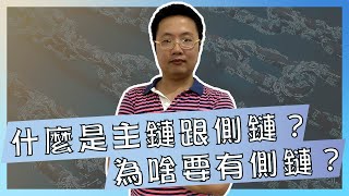 什麼是主鏈跟側鏈？為啥要有側鏈？【我是達克里 Dr.Lee】