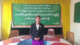 သာစည်မြို့နယ်တွင် အသက်မွေးဝမ်းကျောင်း အထောက်အကူပြု လက်သမားပန်းရံ သင်တန်းဖွင့်လှစ်