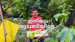 അക്വാപോണിക്സ് തുടങ്ങാത്തവർ ഇനിയും മടിക്കേണ്ട!