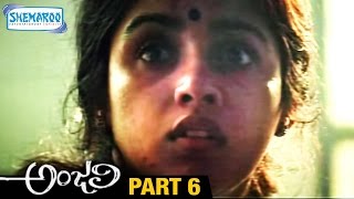 Anjali Telugu Full Movie | Tarun | Shamili | Mani Ratnam | Ilayaraja | Part 6 | Shemaroo Telugu