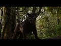 the jungle book trailer 2 official disney uk