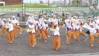 舞ぇぇ華 2010 ・ 神戸よさこいまつり