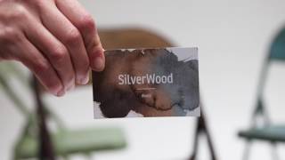 Silverwood/ Assajant Shake it Off