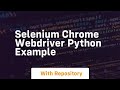 selenium chrome webdriver python example