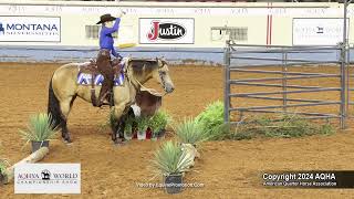 2024 AQHYA world champion ranch trail
