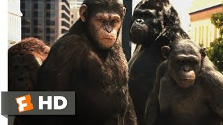 Rise of the Planet of the Apes (2011) - Attack on San Francisco Scene (3/5) | Movieclips